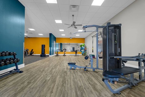 A gym with a variety of equipment including a squat rack, bench, and weights.