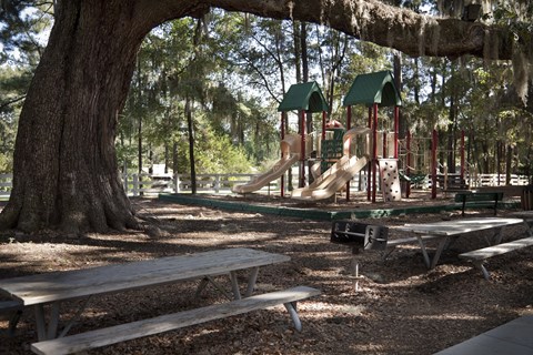 A playground with a green slide and a large tree.
