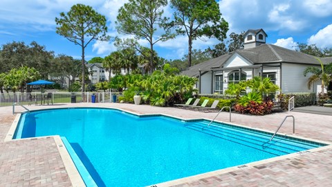 A swimming pool in a backyard with a house and trees in the background.