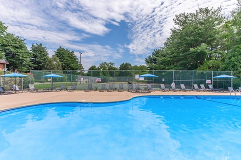 A large blue swimming pool surrounded by a fence and lounge chairs.