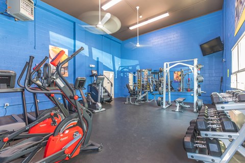 A gym with a blue wall and a variety of exercise equipment.