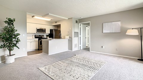 A living room with a rug on the floor and a tree in a pot.
