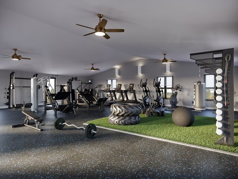 A spacious gym with a variety of equipment including treadmills, weights, and exercise balls.