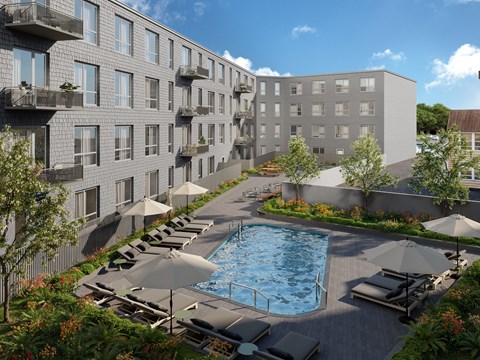 100 Nelson Ave Studio-3 Beds Apartment for Rent