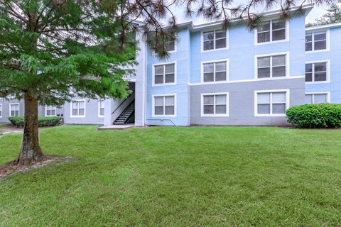 A tree is in front of a blue and white building.