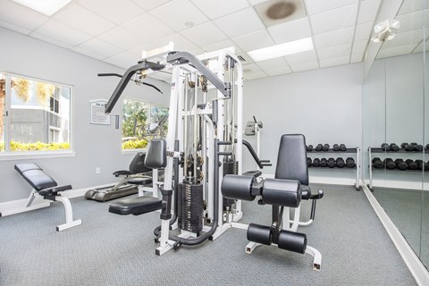A well-equipped gym with a variety of machines and weights.