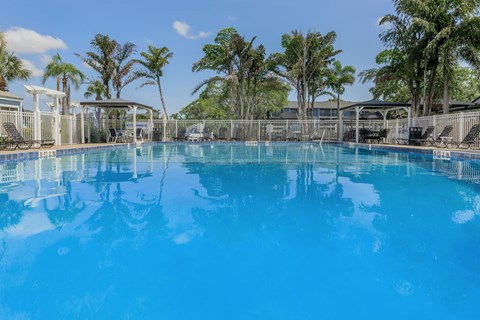 A large blue swimming pool surrounded by trees and a fence.