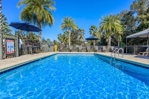 A large blue swimming pool surrounded by palm trees.