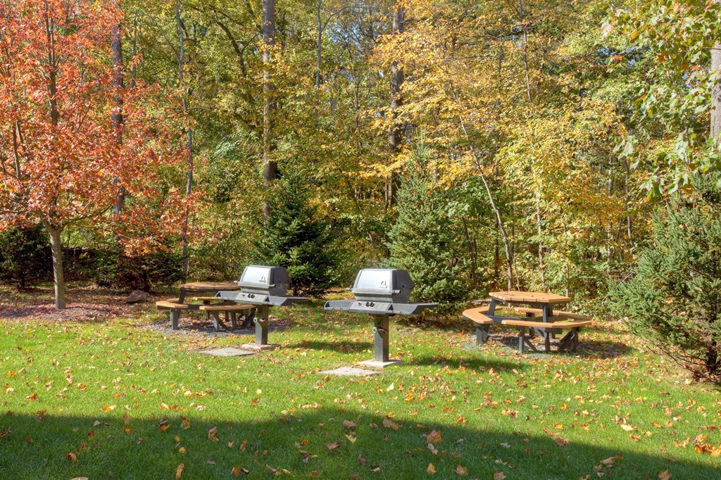 Picnic benches and grills surrounded by beautiful landscaping