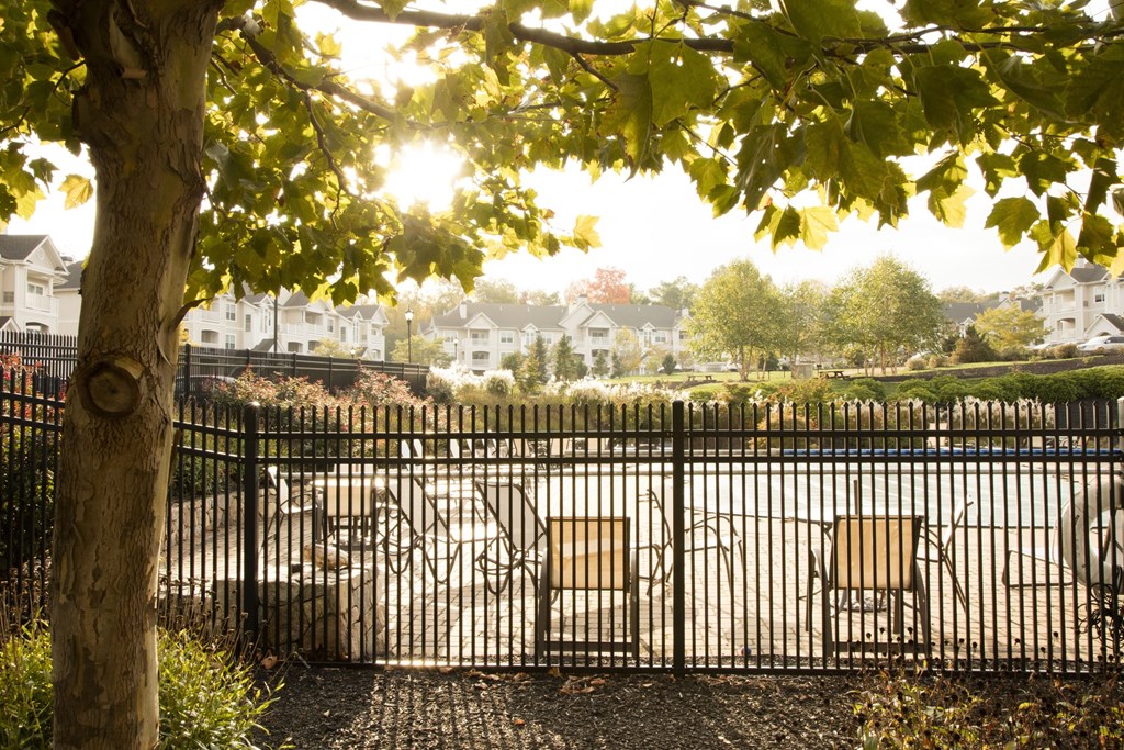A black fence with a tree in the foreground and houses in the background.