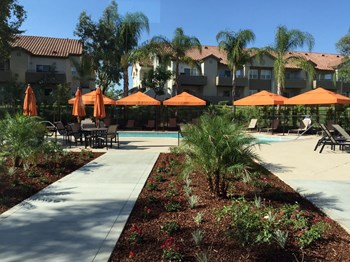 Relaxing pool area at Legends at Rancho Belago, CA, 92553 - Photo Gallery 32