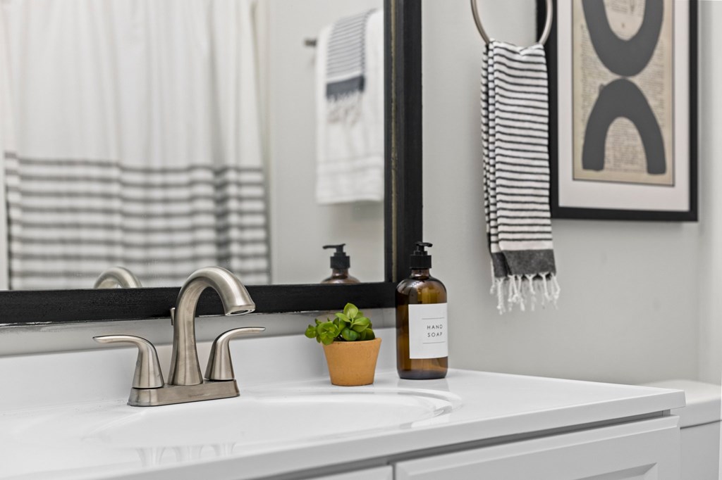 A bathroom sink with a plant and a bottle of soap at West Oak Apartments, Wake Forest, 27587