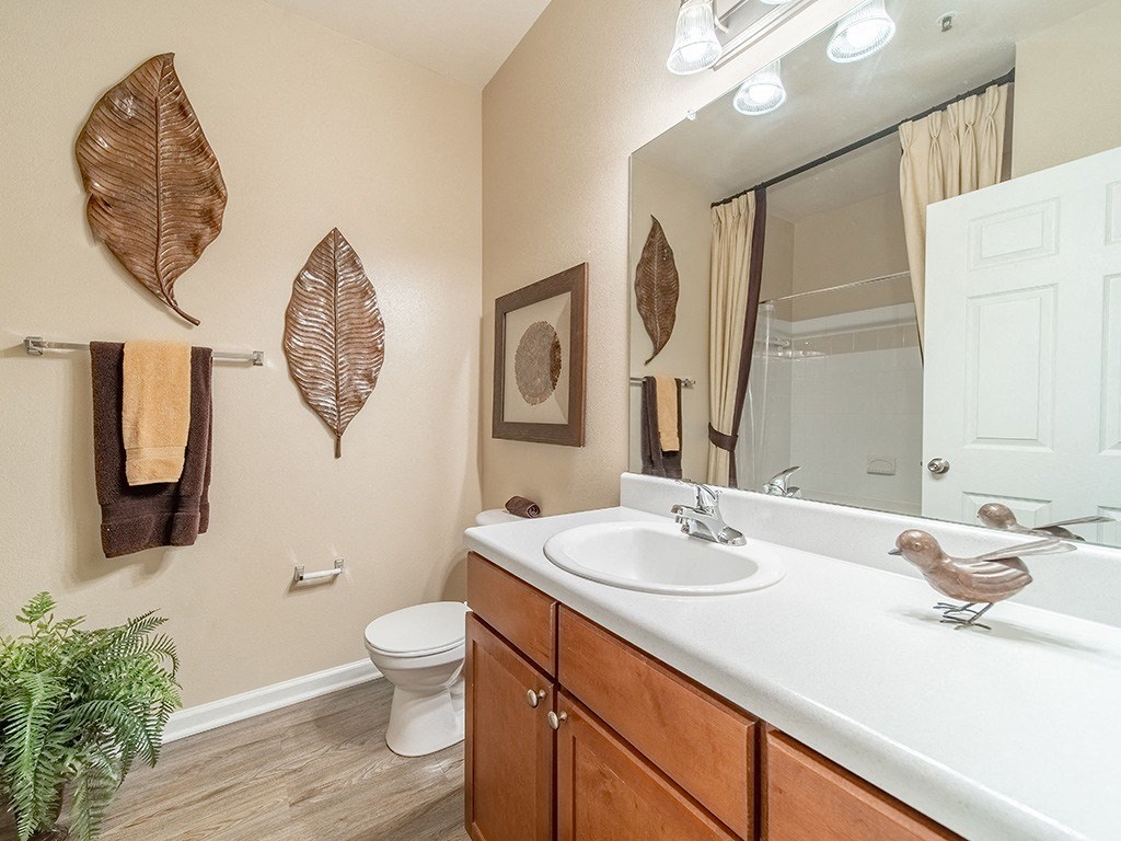 Luxurious Bathroom at Rose Heights Apartments, North Carolina, 27613