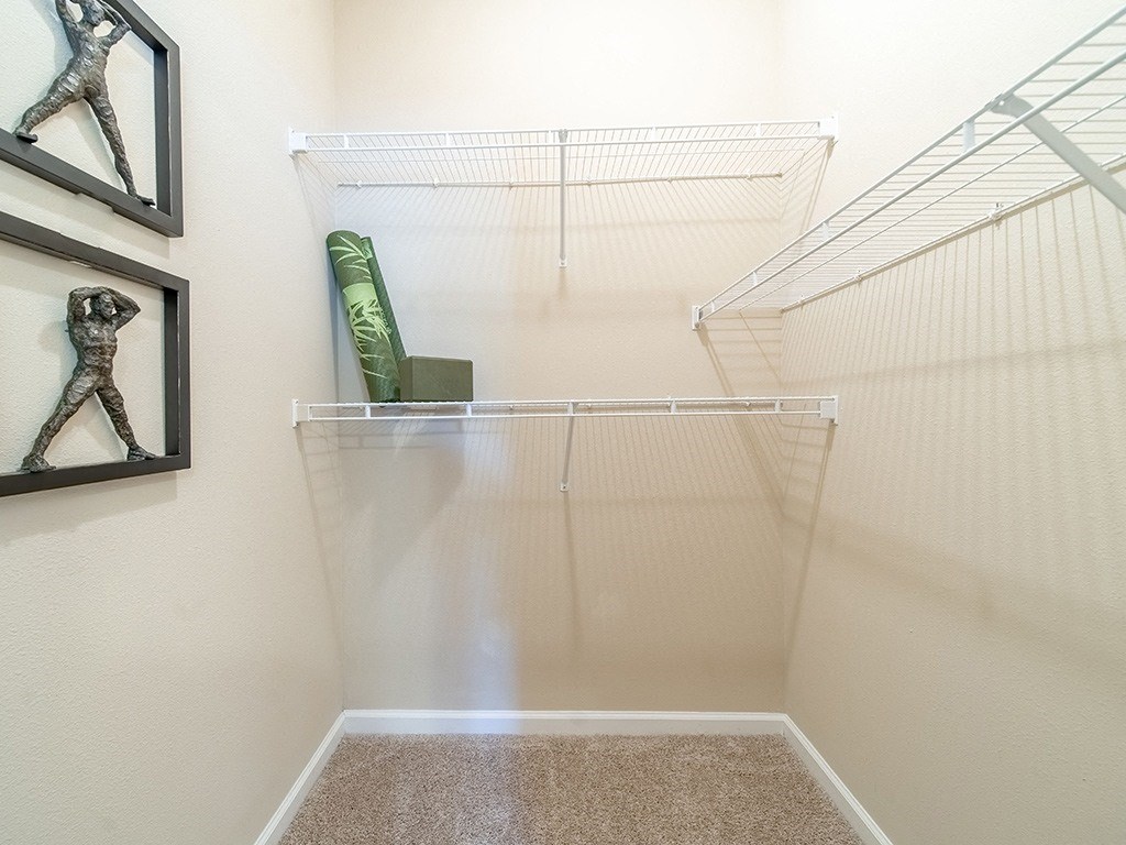 Built-In Shelving In Closet at Rose Heights Apartments, Raleigh, NC