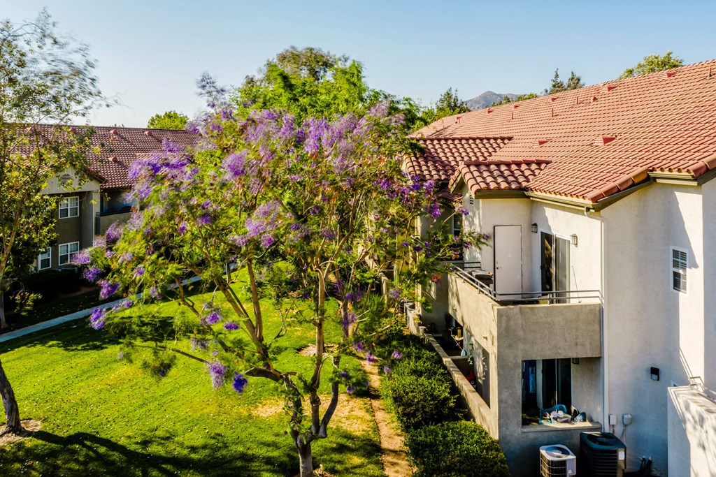 Green Space at Legends at Rancho Belago, Moreno Valley