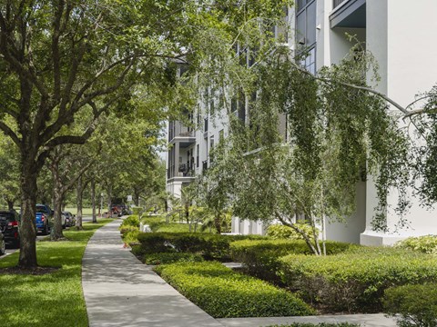 Courtyard Walking Path at Azul Baldwin Park, Florida, 32814
