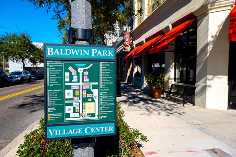 Neighborhood at Azul Baldwin Park, Florida