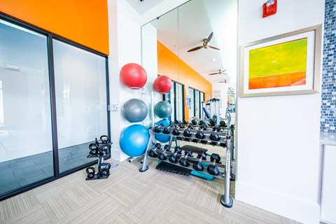 Fitness Area at Azul Baldwin Park, Orlando