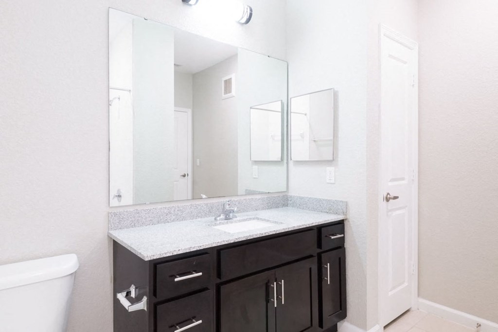a bathroom with a sink and a mirror at Linden on the GreeneWay, Florida, 32824