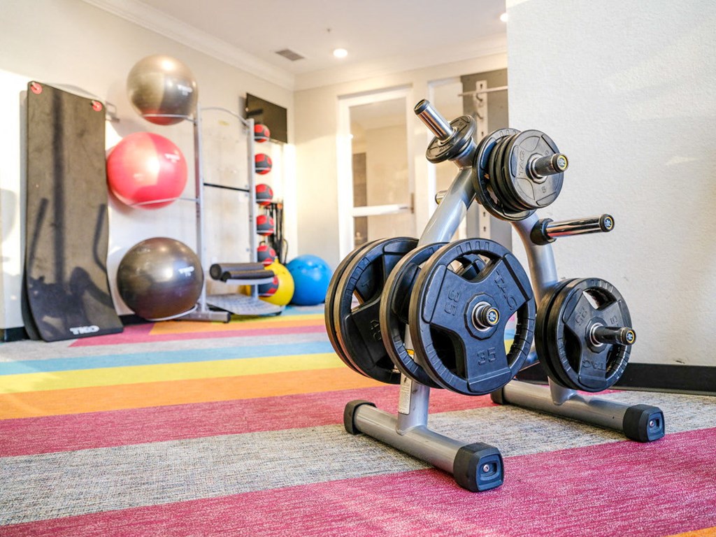 a home gym with weights and a punching bag at Linden on the GreeneWay, Orlando, FL