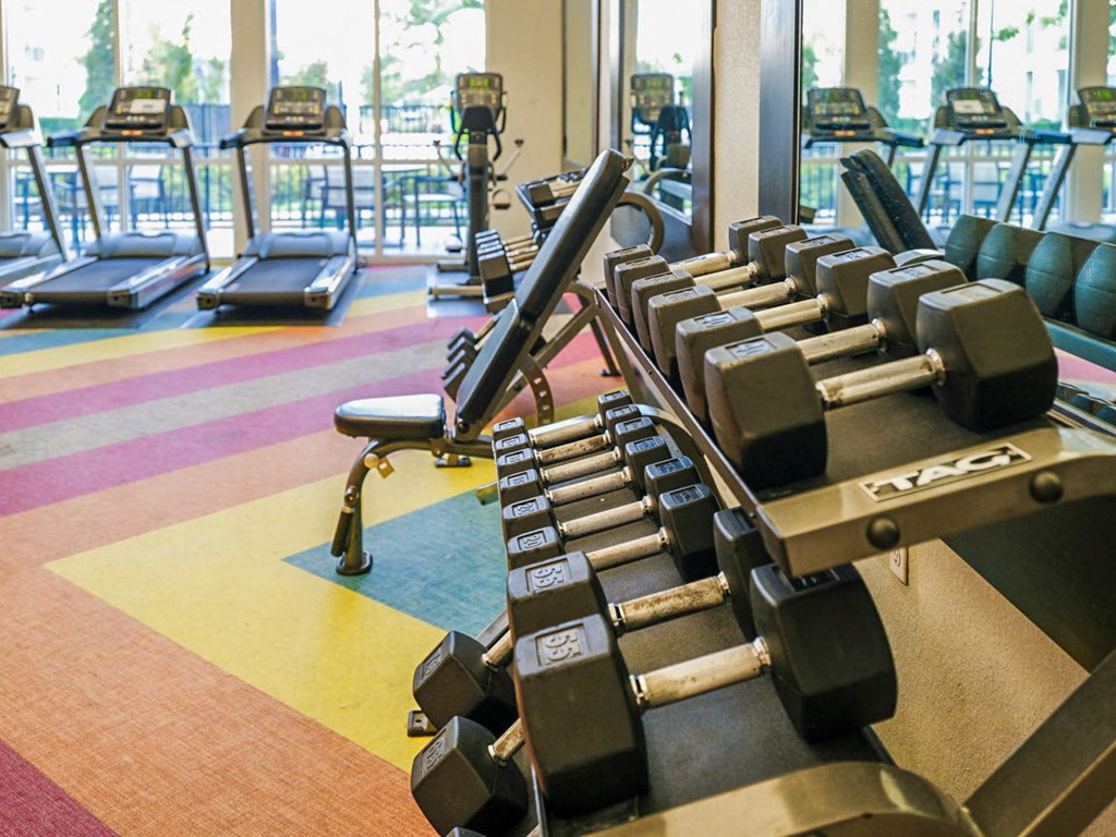 a row of weights in a gym with a large window at Linden on the GreeneWay, Florida
