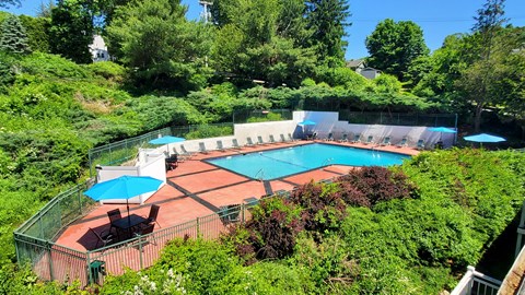 A pool surrounded by greenery and trees.