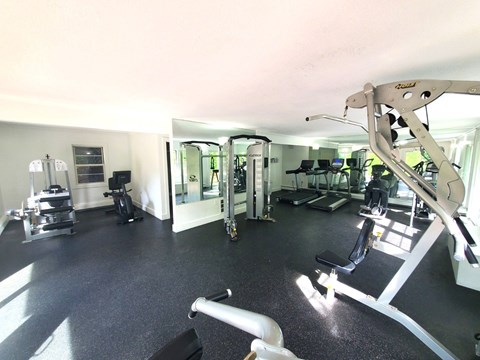 A gym with a variety of equipment including a treadmill, weights, and a bench press.