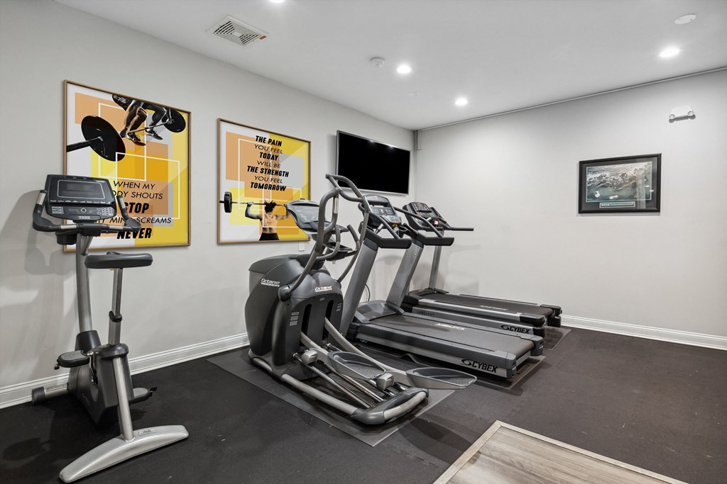 the gym is equipped with cardio equipment and state of the art equipment