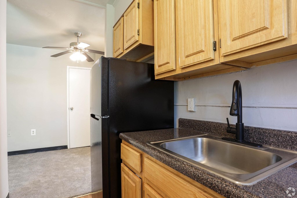 Kitchen sink with dark countertops, light wooden cabinets, and a black refrigerator