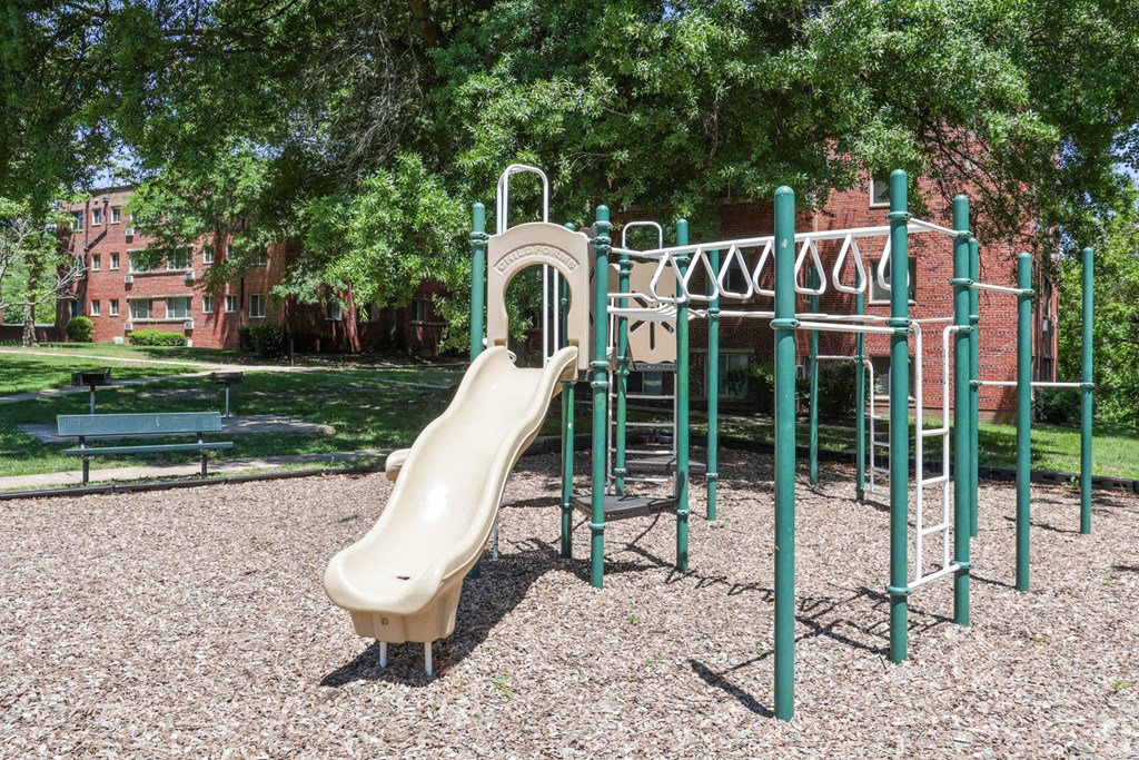 Playground with monkey bars and small slide
