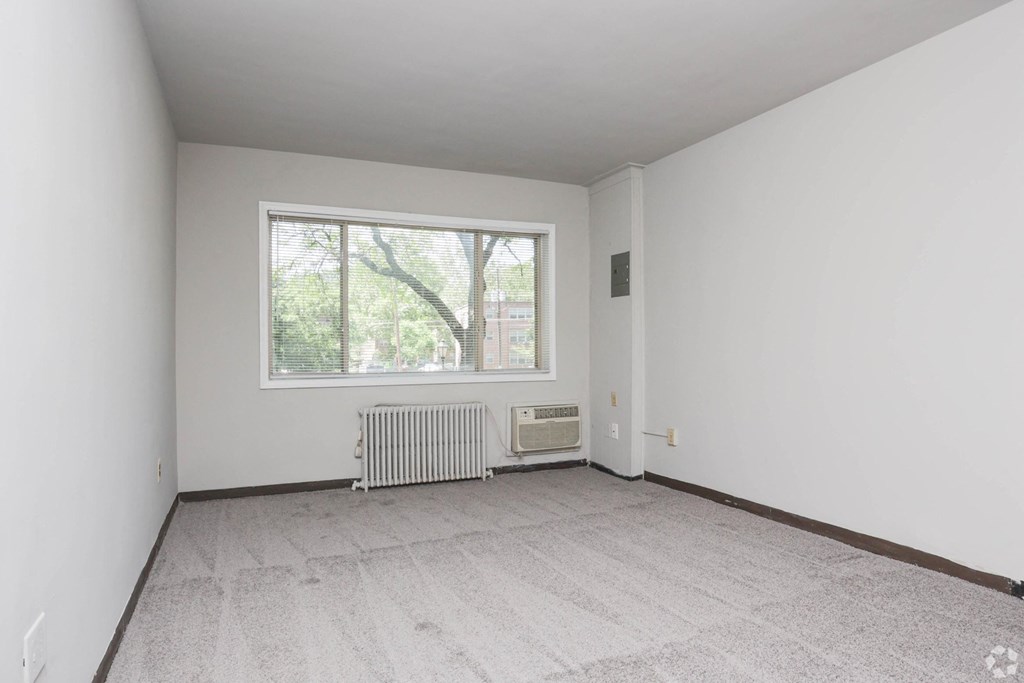 Unfurnished bedroom with light gray walls, carpet, and a large window on the back wall