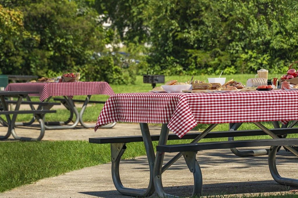 Picnic tables are set up in a park.
