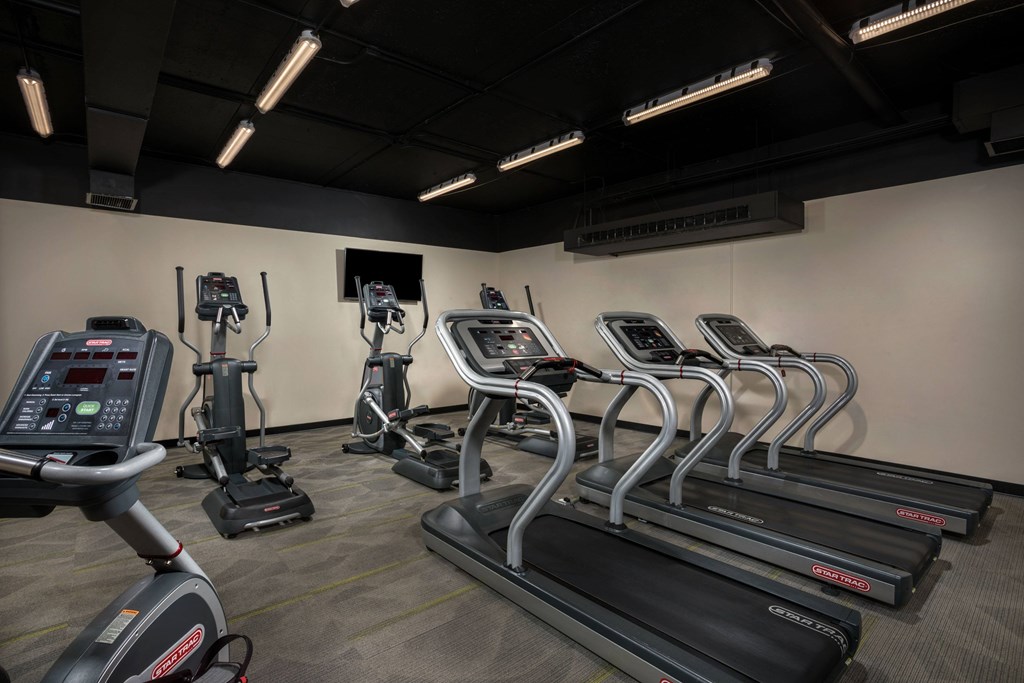 A gym with treadmills, elliptical machines, and other exercise equipment.