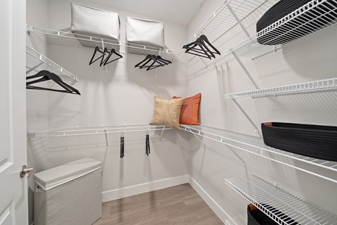 Mira At Palmer Ranch