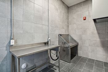 Dog wash station with a stainless steel sink and a table at LynnCora, Grand Prairie, Texas