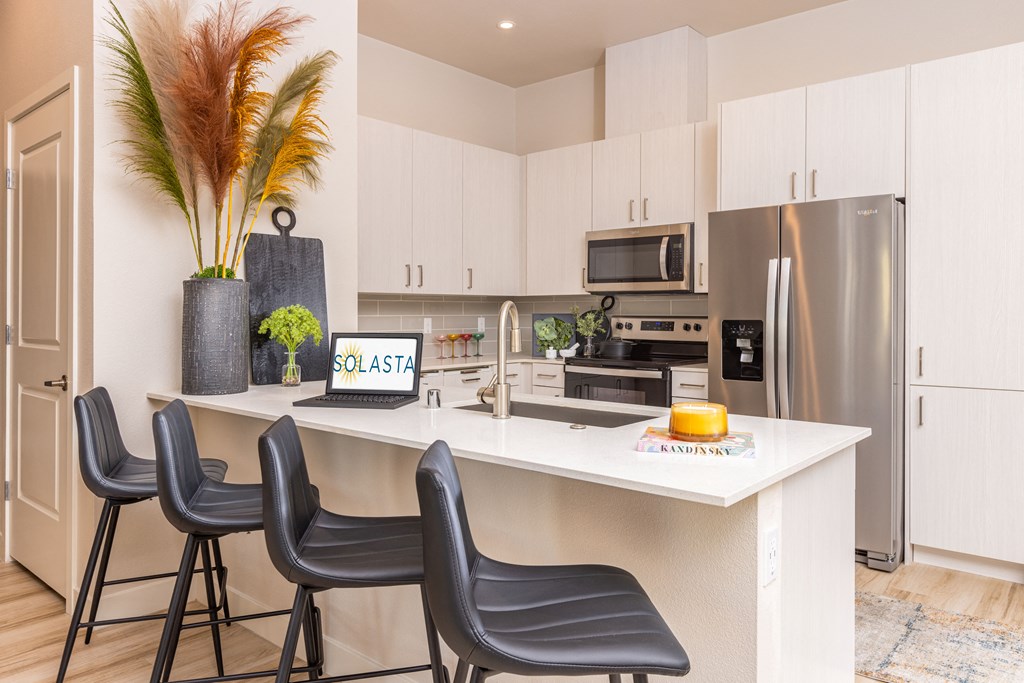 model apartment kitchen area with large island counter and stainless steel appliances model apartment kitchen area with large island counter and stainless steel appliances at Solasta, Sacramento, CA, 95831