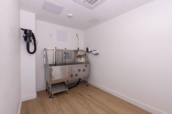 paw spa at Element 12 Apartments in Henderson, NV