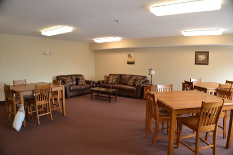 A living room with a brown carpet and furniture.