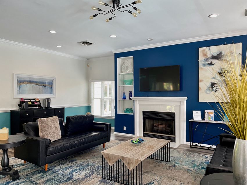 a living room with a blue accent wall and a black leather couch - Photo Gallery