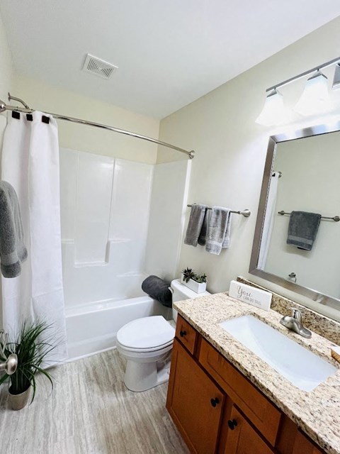 a bathroom with a sink toilet and a mirror