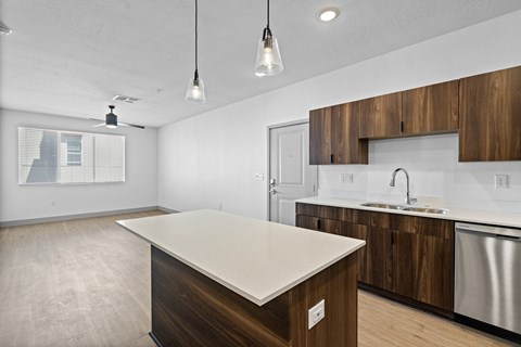 A kitchen with a counter and cabinets.