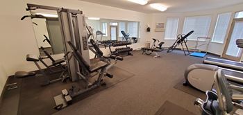a room with a lot of exercise equipment in it