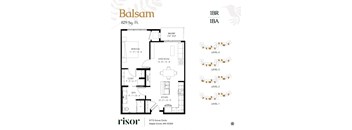 A floor plan at Risor of Maple Grove.