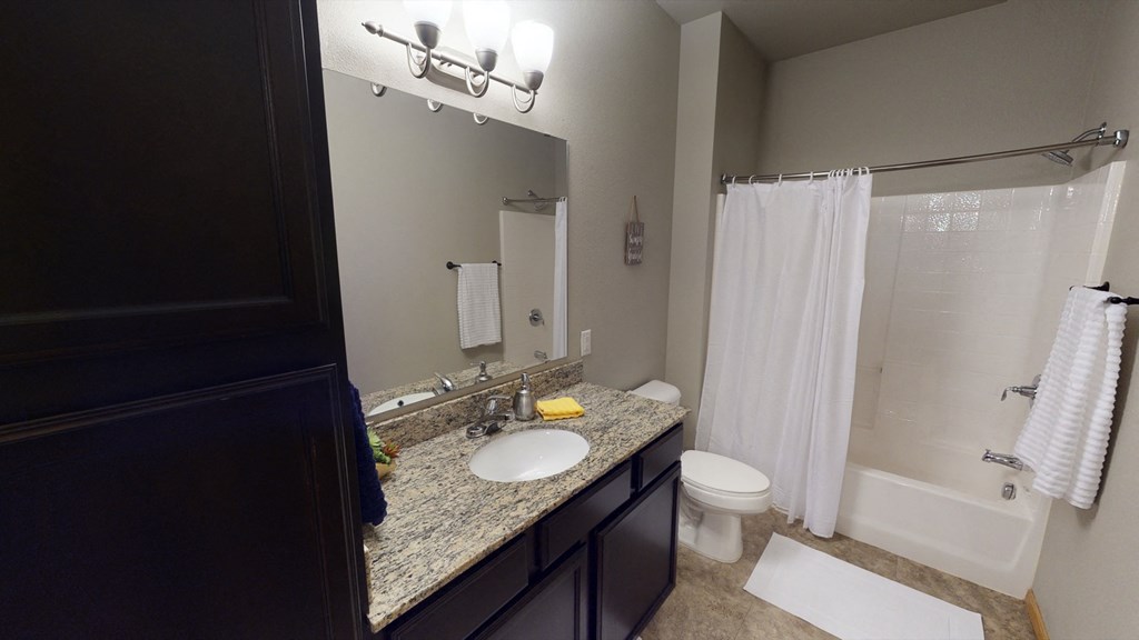 a bathroom with a sink and a toilet and a shower