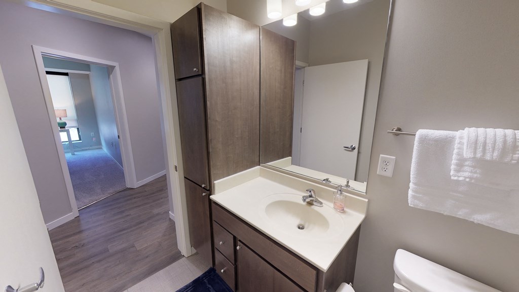 Bathroom with linen storage