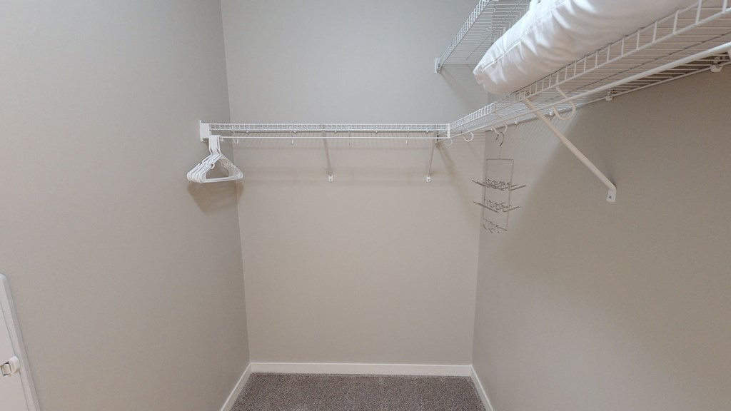 Large walk-in closet