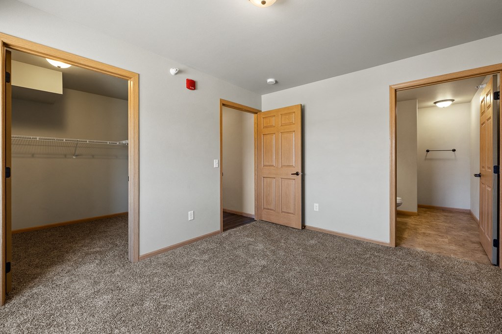 a bedroom with two closets and a carpeted floor