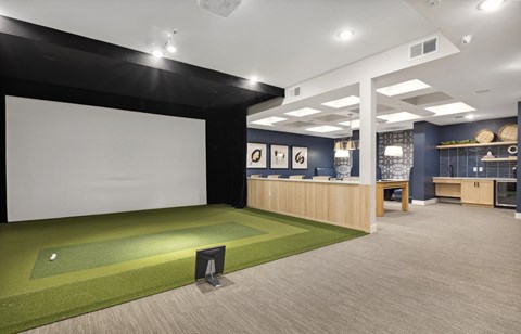 A room with a green carpet and a white screen.