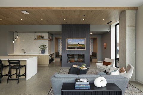 A modern living room with a grey sofa and a fireplace.