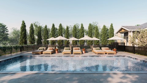 Outdoor Pool at Everstone in Phoenix AZ